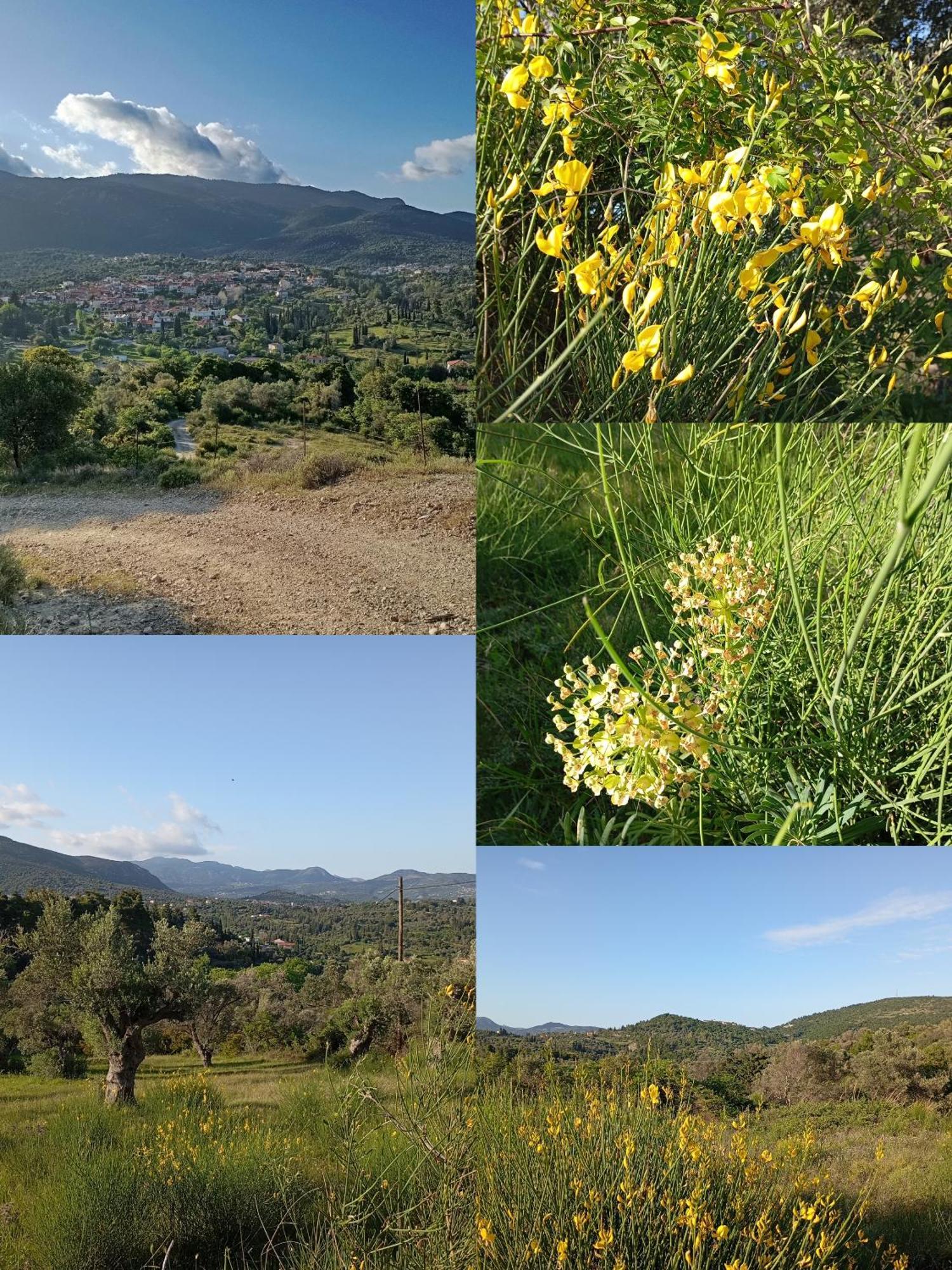 La Nature Konistres ภายนอก รูปภาพ